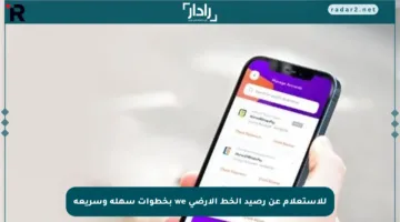 للاستعلام عن رصيد الخط الأرضي we بخطوات سهلة وسريعة